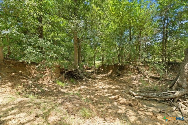 1010 Saint Delight Rd, Home with 0 bedrooms, 0 bathrooms and null parking in Paige TX | Image 23