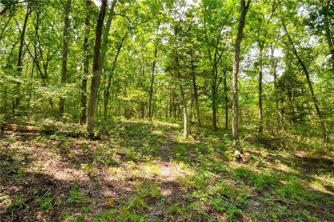 000 Us Highway 65, Home with 0 bedrooms, 0 bathrooms and null parking in Cross Timbers MO | Image 10