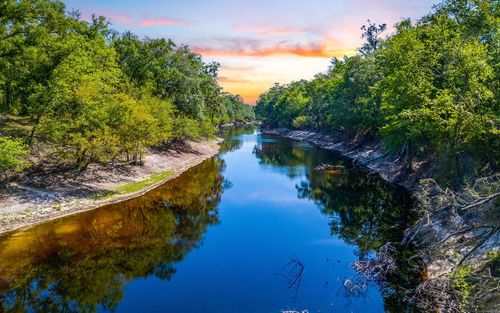 303 Nw Null Rd, White Springs, FL, 32096-4400 | Card Image