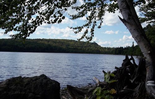 143 Paradise Lane, Tomhegan Twp, ME, 04478 | Card Image