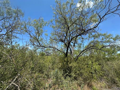 531 Baltzell Ave, San Antonio, TX, 78221-3513 | Card Image