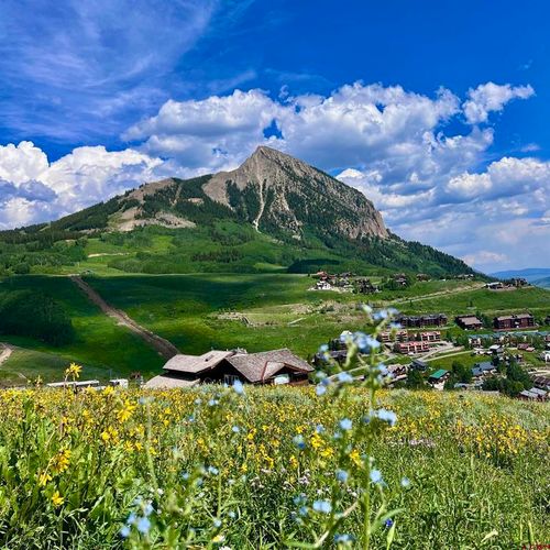 20 Buttercup Ln, Crested Butte, CO, 81225 | Card Image