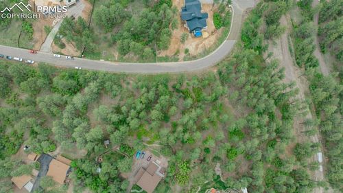648 Copper Fox Pl, Larkspur, CO, 80118-8110 | Card Image