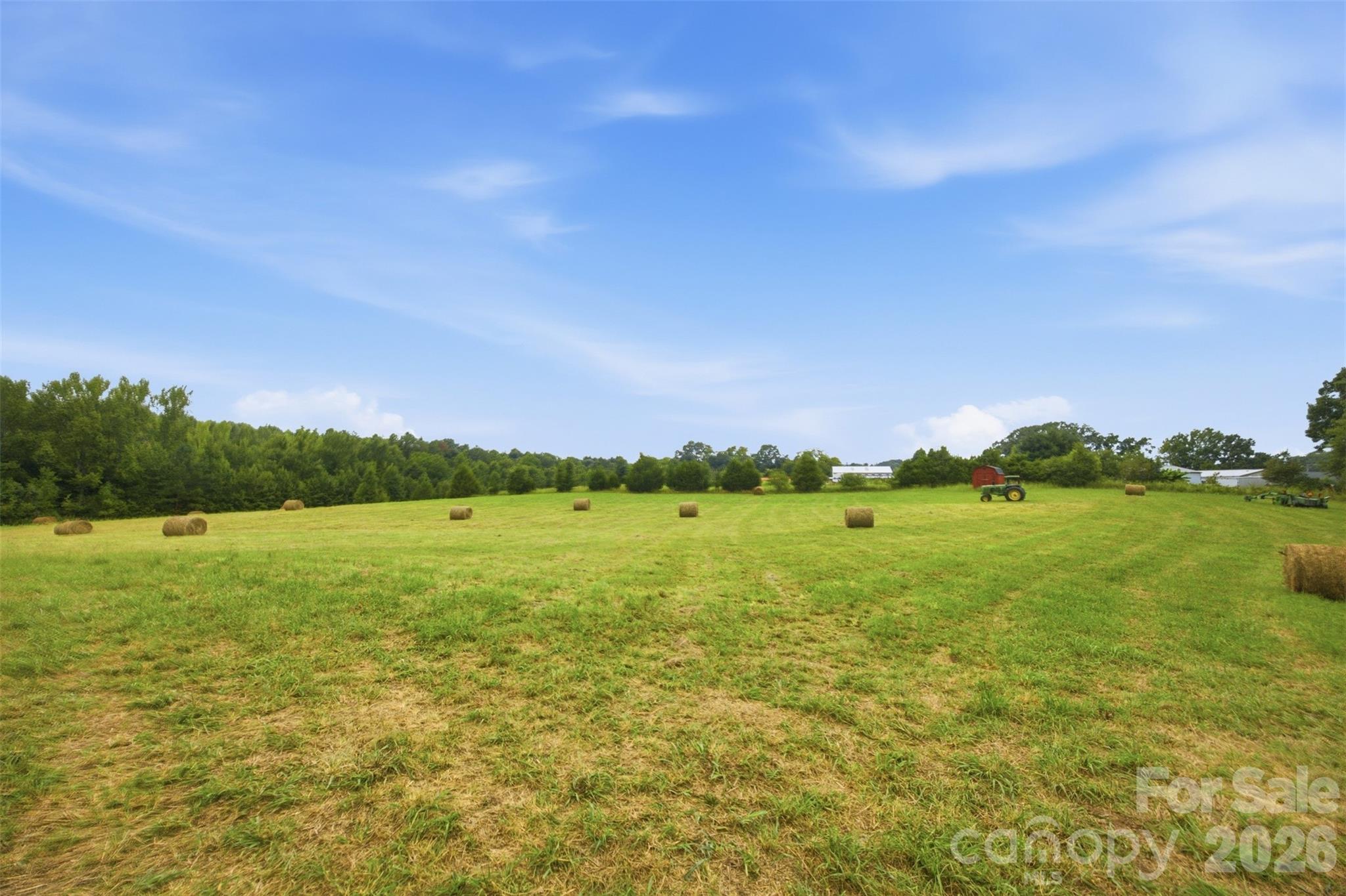 Land in Albemarle 5