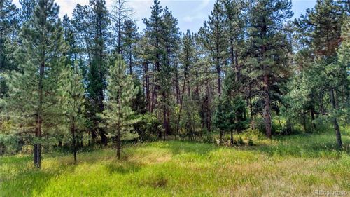 5028 Crow Dr, Larkspur, CO, 80118 | Card Image