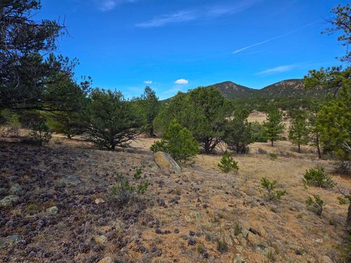 243 Iron Mountain Ln, Cotopaxi, CO, 81223 | Card Image