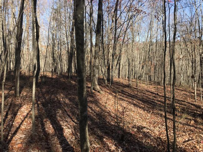 6 Hobbstown Rd, Home with 0 bedrooms, 0 bathrooms and null parking in Dunlap TN | Image 10