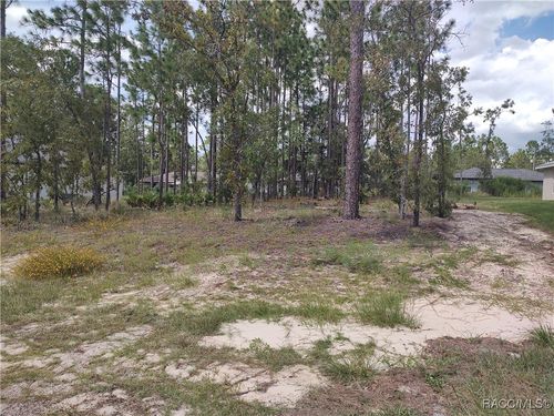 1051 W Cary Dr, Citrus Springs, FL, 34434-7700 | Card Image