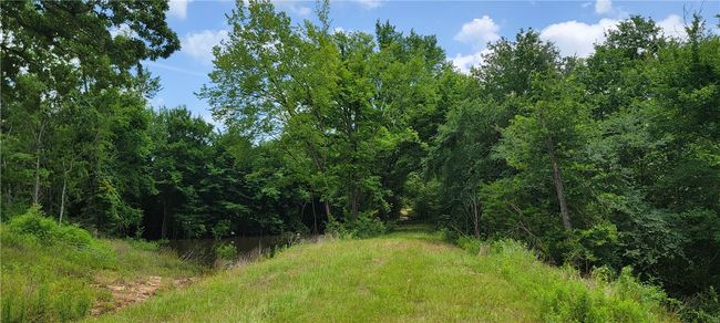 5135 Old Boone Prairie Rd, House other with 3 bedrooms, 3 bathrooms and null parking in Franklin TX | Image 7