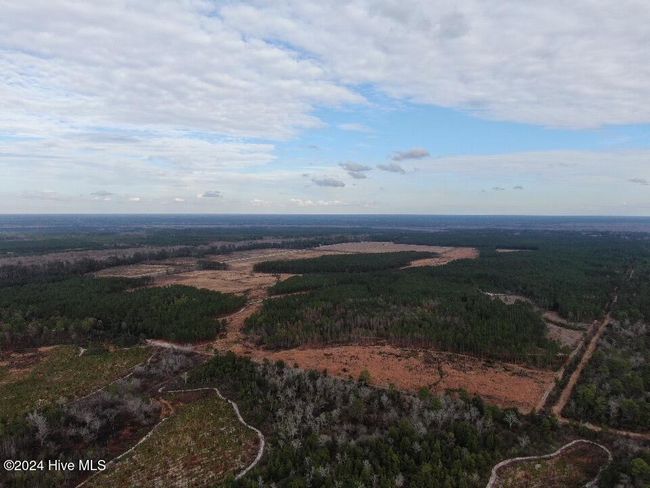 55618 Nc 210 Hwy, Home with 0 bedrooms, 0 bathrooms and null parking in Currie NC | Image 36