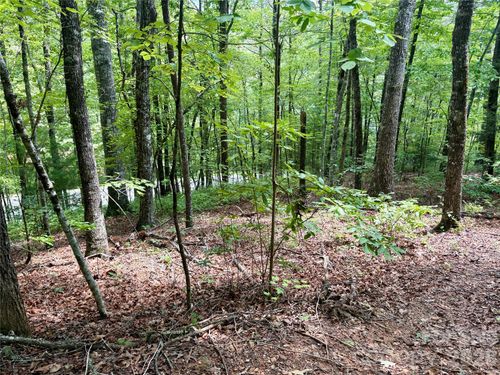 0 Watia Rd, Bryson City, NC, 28713 | Card Image