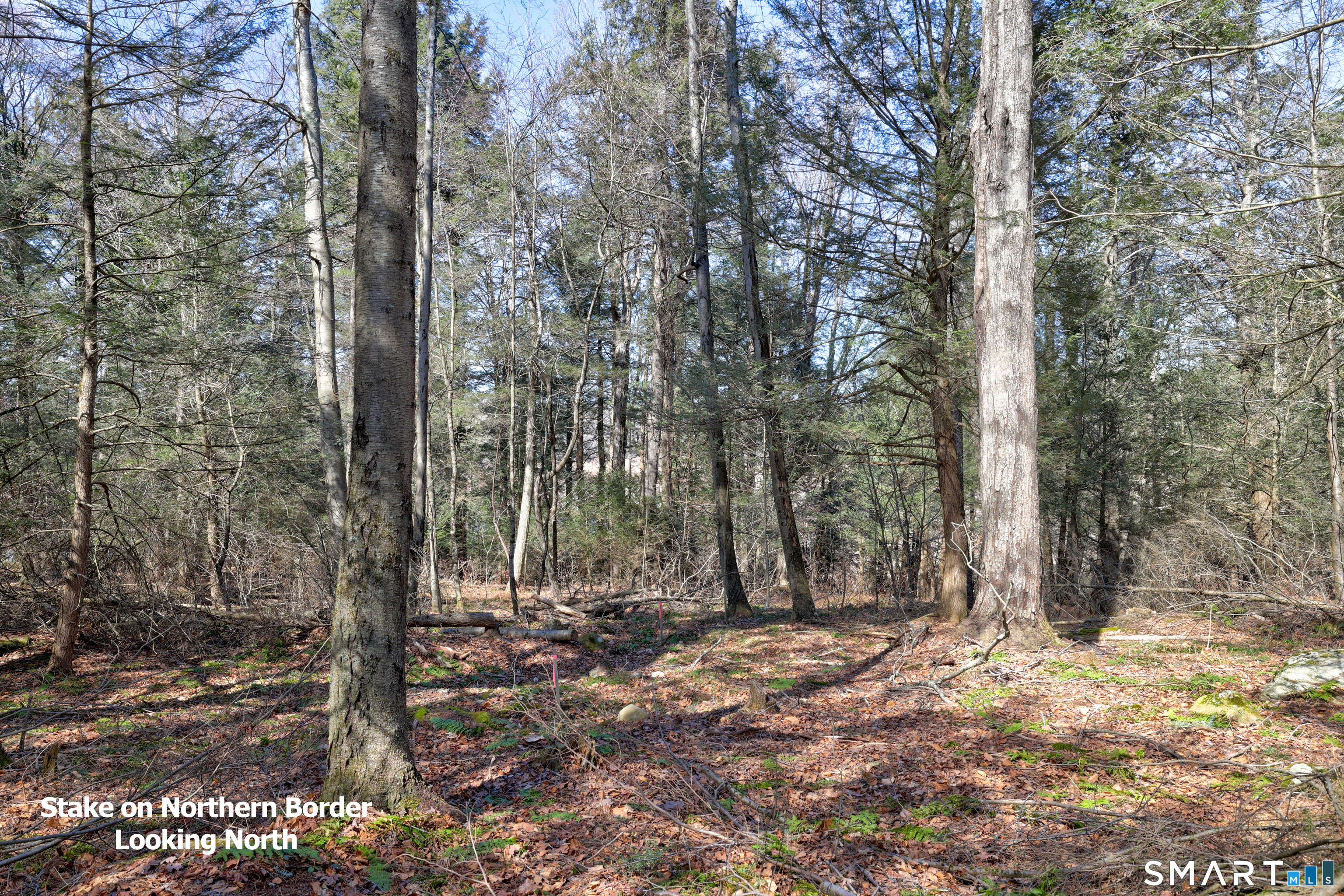 Land in Goshen 4