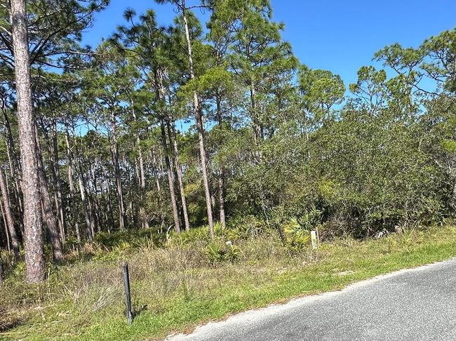 176 Shadow Bay Dr, Home with 0 bedrooms, 0 bathrooms and null parking in Eastpoint FL | Image 7