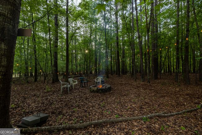 1776 Terrell Rd, House other with 4 bedrooms, 3 bathrooms and null parking in greenville GA | Image 34