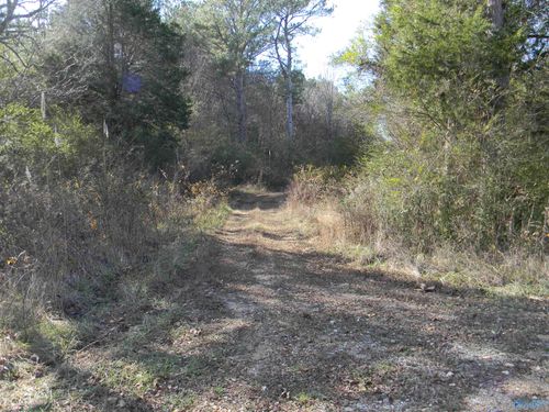 Track 6 & 7 County Road 41, Gaylesville, AL, 35973-4251 | Card Image
