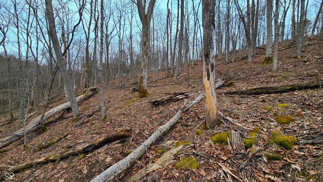 5900 S County Road 700 E, Home with 0 bedrooms, 0 bathrooms and null parking in Dillsboro IN | Image 54