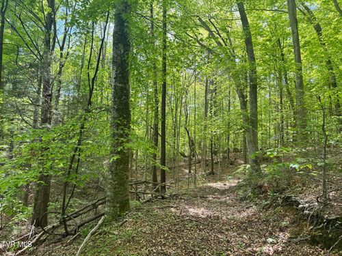 4090 Old Asheville Hwy, Flag Pond, TN, 37657 | Card Image