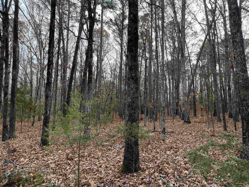 lot 307 Tannenbaum Rd, Drasco, AR, 72530 | Card Image