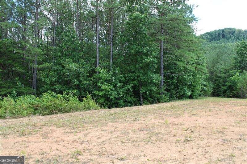 Land in Ellijay 2