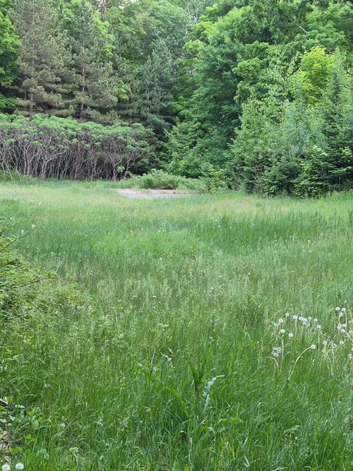 TBD Lots 313, 350, 351 195th Place, McGregor, MN, 55760 | Card Image