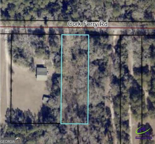 0 Cork Ferry Road, Cordele, GA, 31015 | Card Image