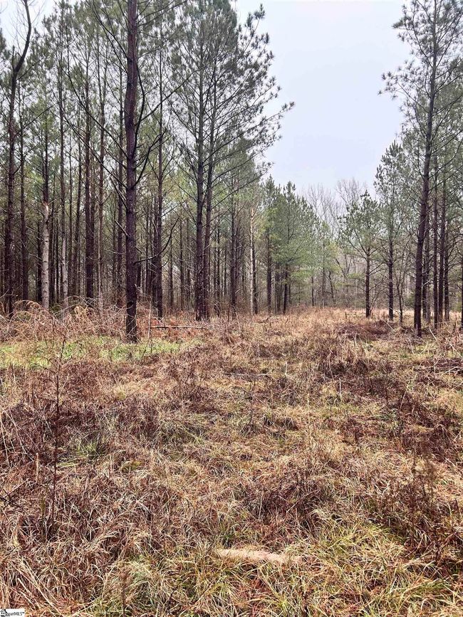 00 Columbia Rd, Home with 0 bedrooms, 0 bathrooms and null parking in Edgefield SC | Image 14