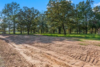 Lot 4 Alans Memorial Lane, Home with 0 bedrooms, 0 bathrooms and null parking in New Waverly TX | Image 1