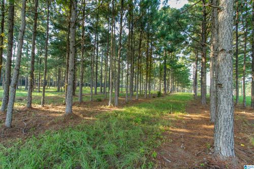 1-0 County Road 48, Jemison, AL, 35085 | Card Image