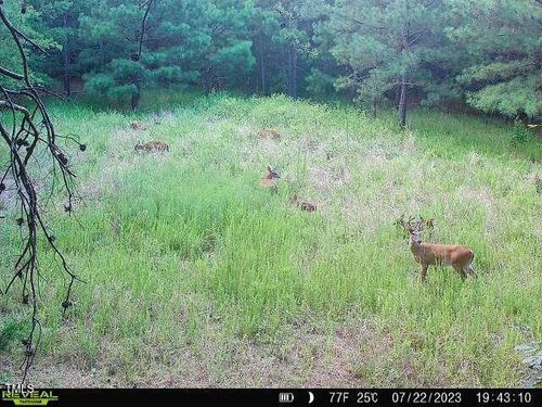 2845 Moores Mill Rd, Rougemont, NC, 27572-8203 | Card Image