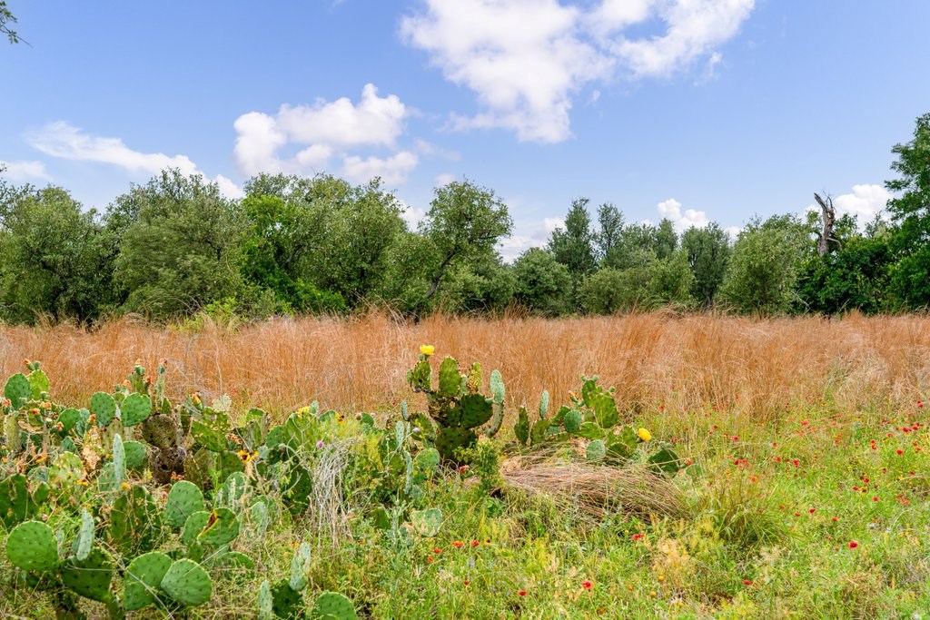 Land in Fredericksburg 5
