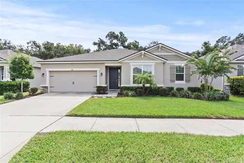 915 Night Song Street, VALRICO, FL, 33594 | Card Image