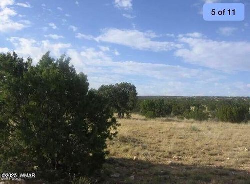 Lot 595 Chevelon Canyon Ranch, Heber, AZ, 85928 | Card Image