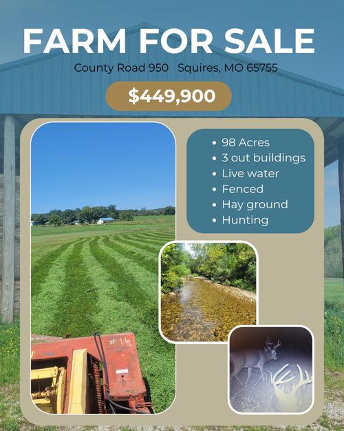 Tbd County Road 950, Squires, MO, 65755 | Card Image