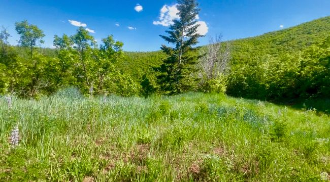 Summer view of building pad area | Image 9
