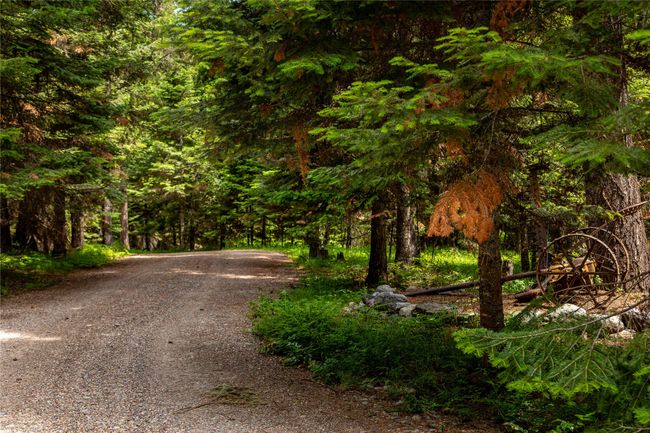 29495 Drifting Way, Home with 0 bedrooms, 0 bathrooms and null parking in Bigfork MT | Image 15