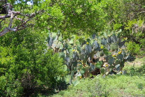 1400 Fm 1343, Castroville, TX, 78009 | Card Image