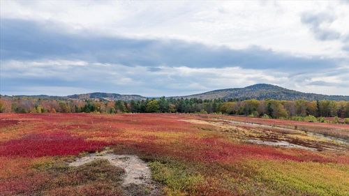 423 Beech Hill Road, Northport, ME, 04849 | Card Image