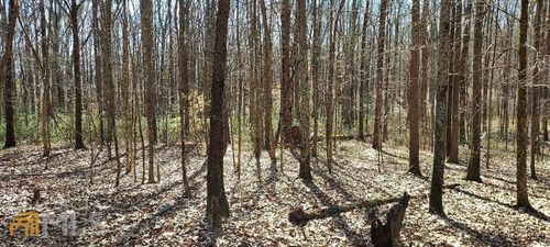 10 Davis Academy Rd, Rutledge, GA, 30663 | Card Image