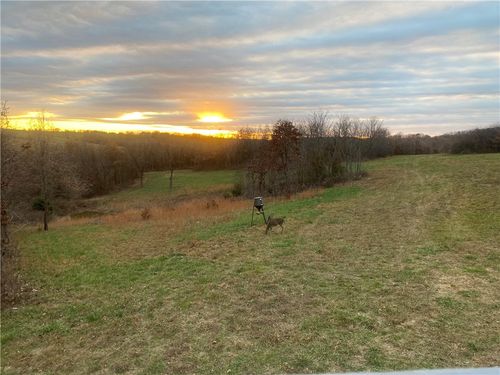 TBD County Road 818, Green Forest, AR, 72638 | Card Image
