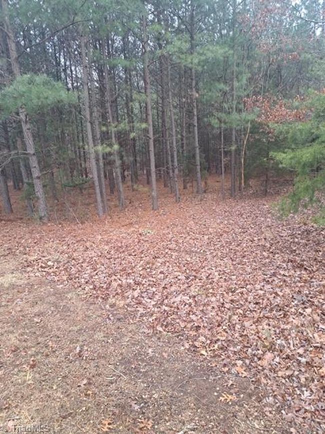198 Water Oak Way, Home with 0 bedrooms, 0 bathrooms and null parking in Mount Gilead NC | Image 4