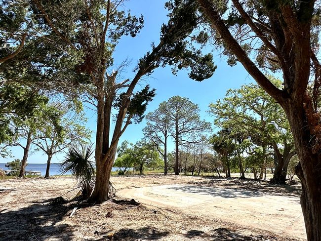 16730 Sw Airport Rd, Home with 0 bedrooms, 0 bathrooms and null parking in CEDAR KEY FL | Image 25