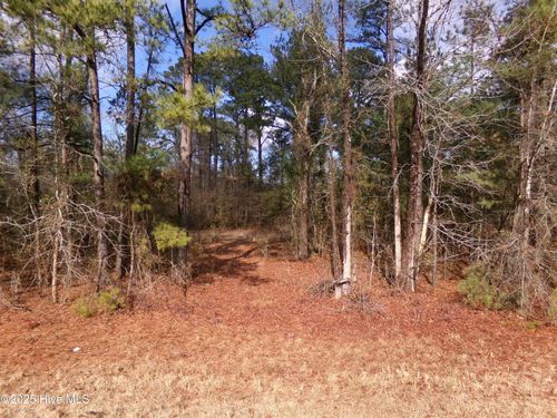 Near 273 Kenric Road, Lumberton, NC, 28358 | Card Image