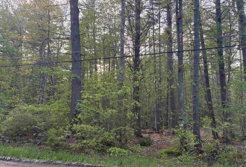 Lot 80 Currier Road, Candia, NH, 03034 | Card Image