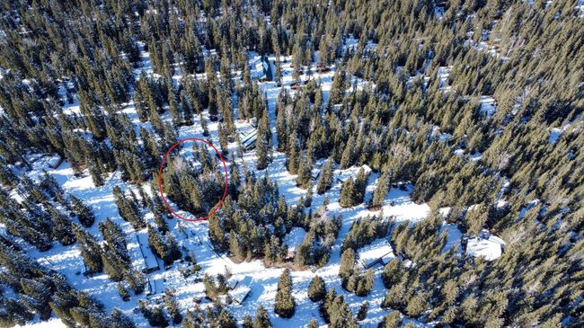 12 - 32380 Range Road 55, Home with 0 bedrooms, 0 bathrooms and null parking in Rural Mountain View County AB | Image 6