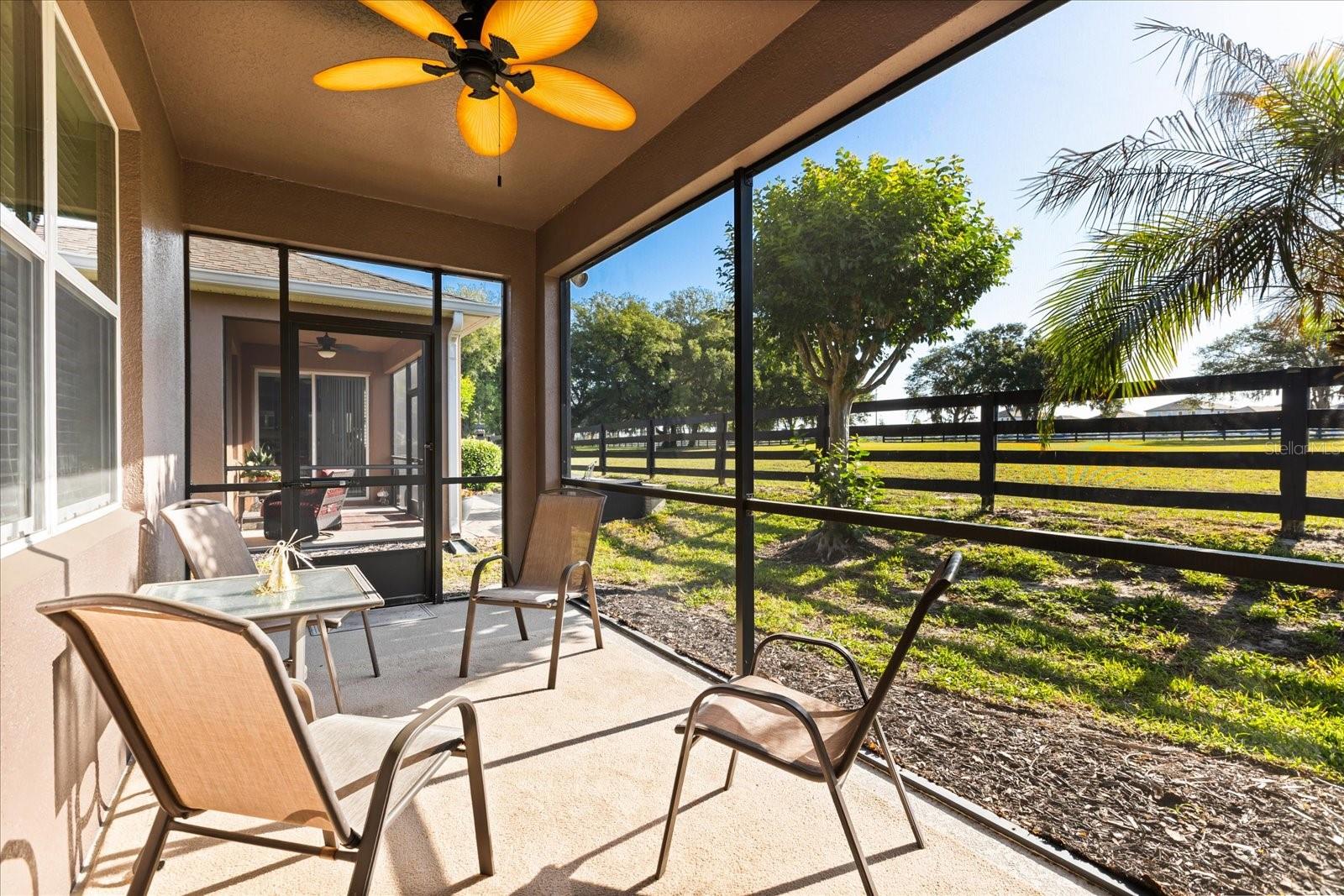 Residential in MOUNT DORA 5