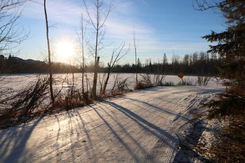 6 Wildrose St, Rosedale Valley, AB, T4L1Y4 | Card Image