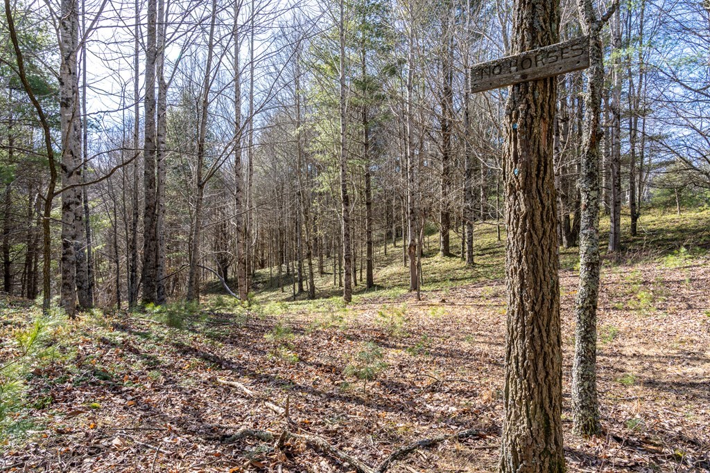 Land in Troutdale 5