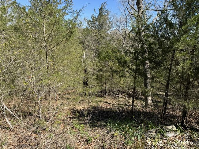 Back of Property | Image 78