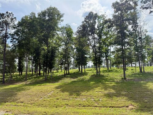 Lot 72 Western Rd, Livingston, TX, 77351 | Card Image