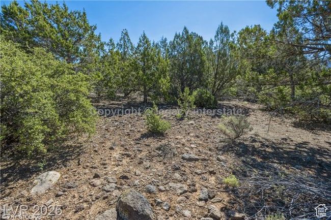 View of undeveloped land | Image 11